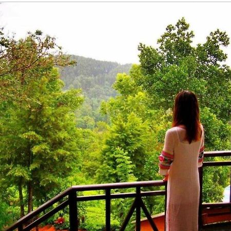 Tea Villas Ella Bagian luar foto