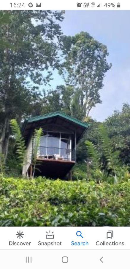 Tea Villas Ella Bagian luar foto