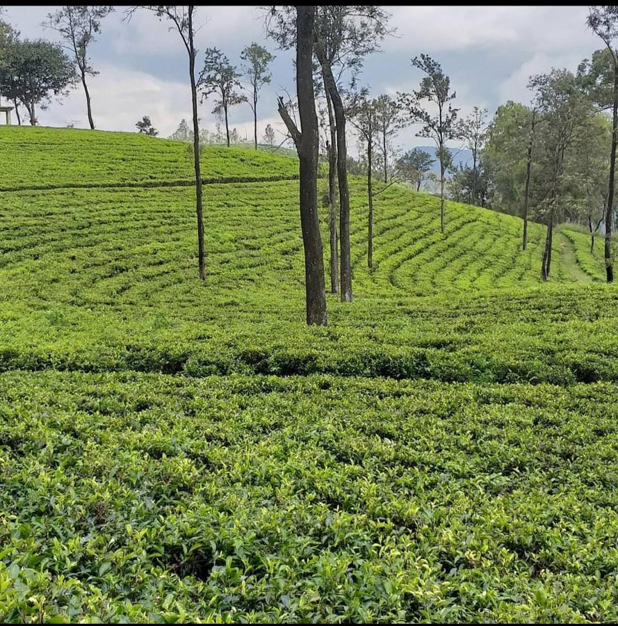 Tea Villas Ella Bagian luar foto