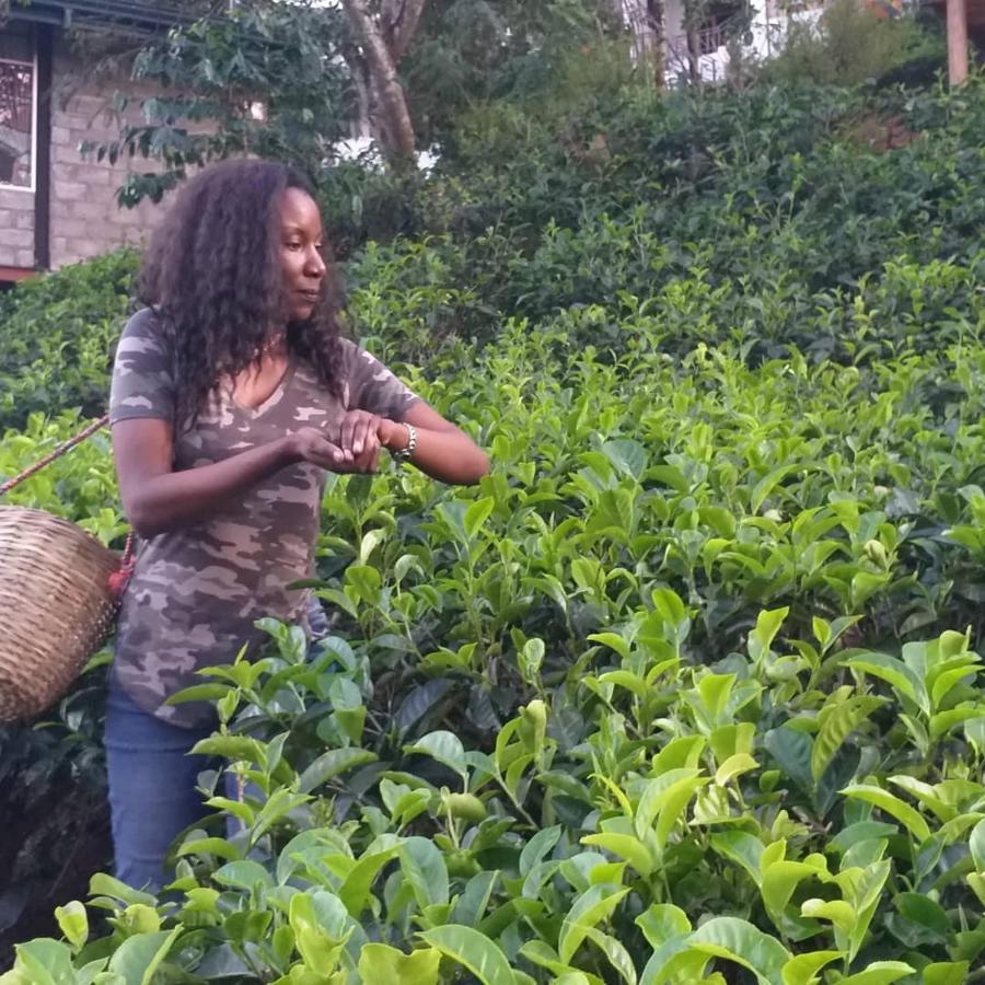 Tea Villas Ella Bagian luar foto