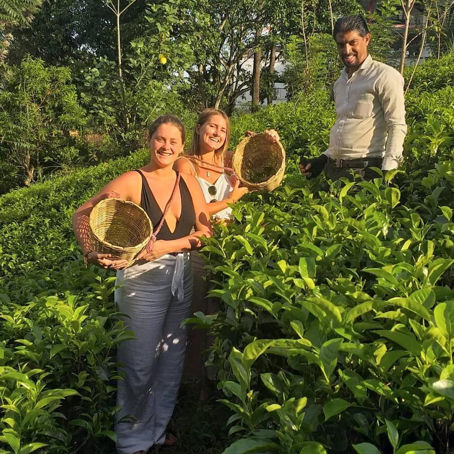 Tea Villas Ella Bagian luar foto