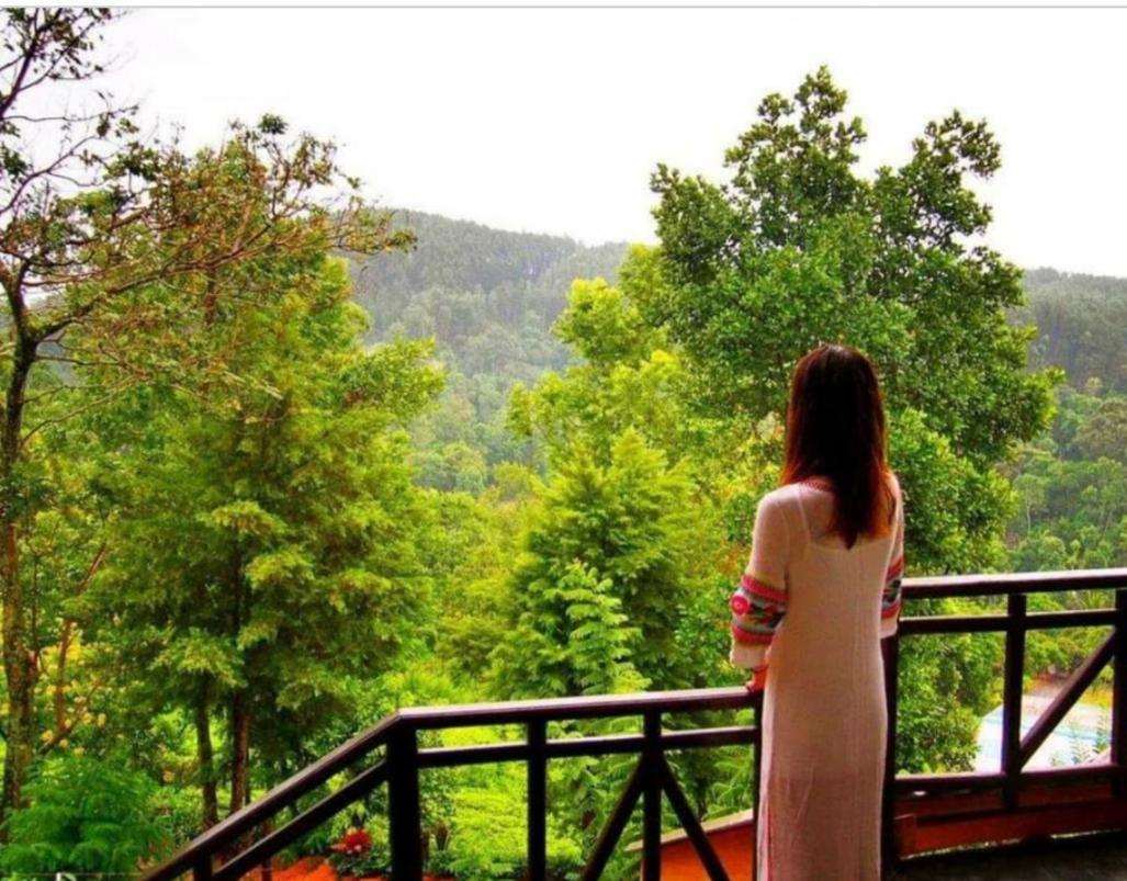 Tea Villas Ella Bagian luar foto
